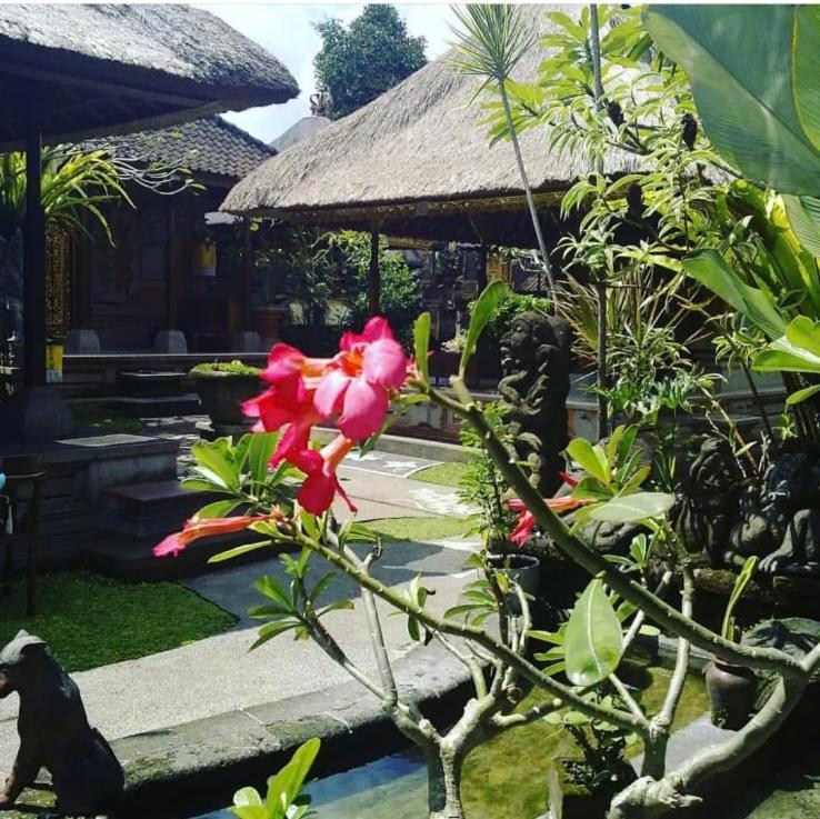 Family Guest House ウブド エクステリア 写真